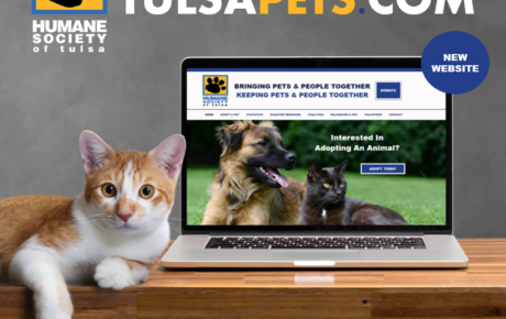 TulsaPets | Animal Website | Animal Website Design | Pets Website | Humane Society Web Designer