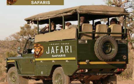Jafari Safaris Logo | Safari Logo | Travel Logo | Travel Tour Logo Design | Hire Logo Design Tours